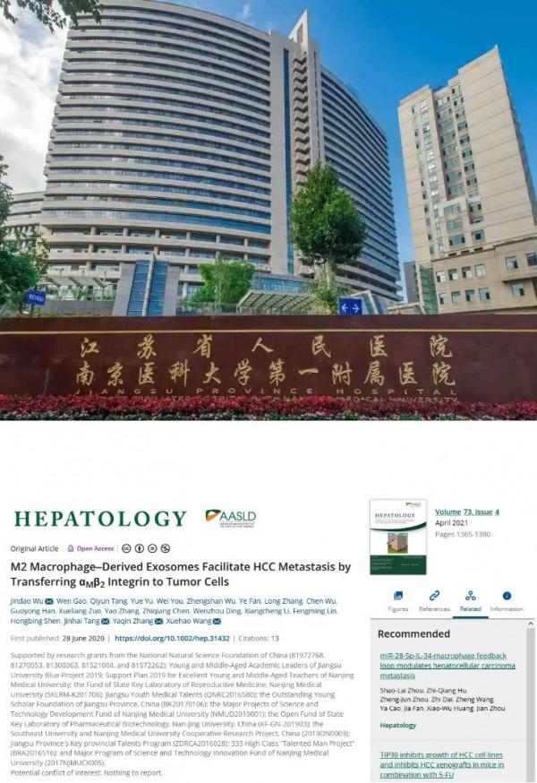 南京醫科大學第一附屬醫院的高分論文因大量細胞圖片重複遭質疑