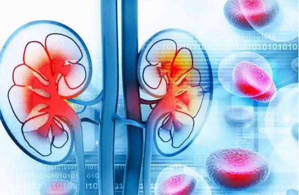 二甲雙胍緩釋片一天吃幾次?格列美脲與格列齊特何時服用效果好? 二甲雙胍緩釋片一天吃幾次?格列美脲與格列齊特何時服用效果好?