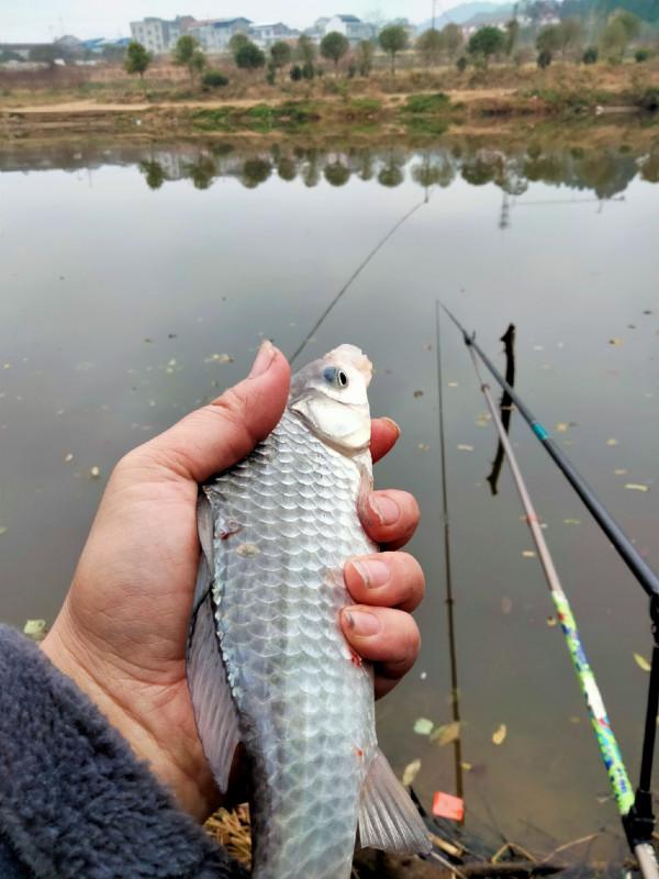 垂釣之旅——日行千里，只為漁你相見