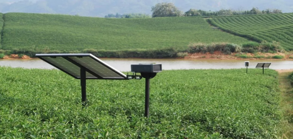 這款兵工“黑科技”，可用於安防，還能精準滅殺農業害蟲