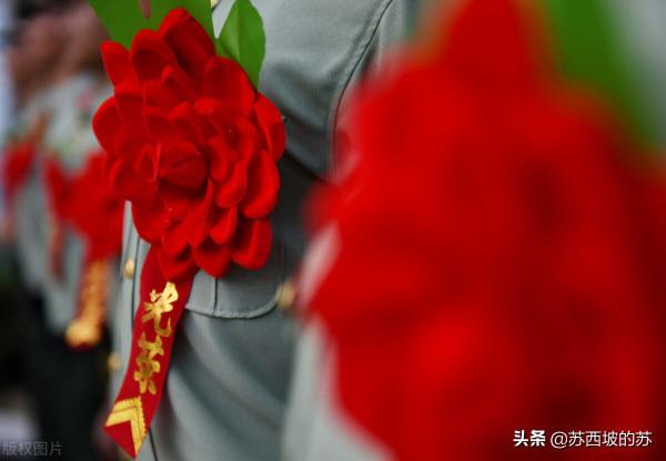 曾經撫育四代人的小賢，最終是否老有所依，她的後人一直在爭辯