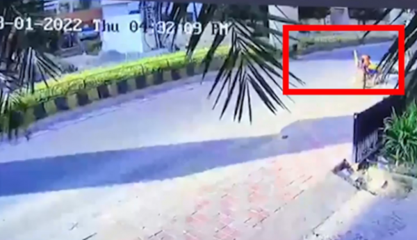 國外6歲童星突遭車禍，送醫路上不幸去世，多位明星發文哀悼