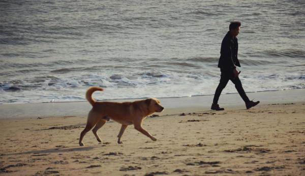 經常走路可以降血脂?若想降低血脂,做好這2件事或會有幫助 經常走路可以降血脂?若想降低血脂,做好這2件事或會有幫助