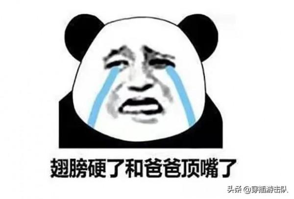 退居二線的太上皇們