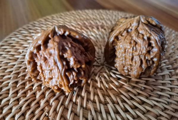 默默陪你的物件