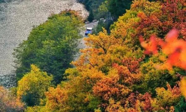 甘肅最不西北的地方,媲美九寨,被譽為“隴上江南”,你去過嗎? 甘肅最不西北的地方,媲美九寨,被譽為“隴上江南”,你去過嗎?