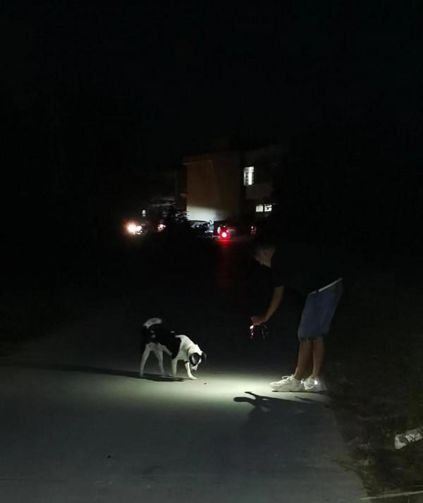 我養它的身,它養我的魂 我養它的身,它養我的魂