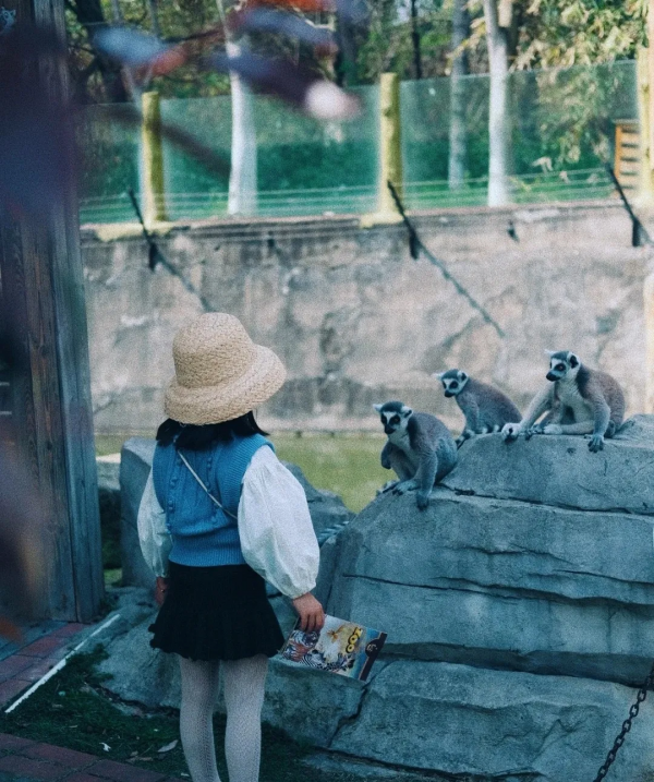 盤點！朋友圈都曬什麼，將過年氛圍感拉滿