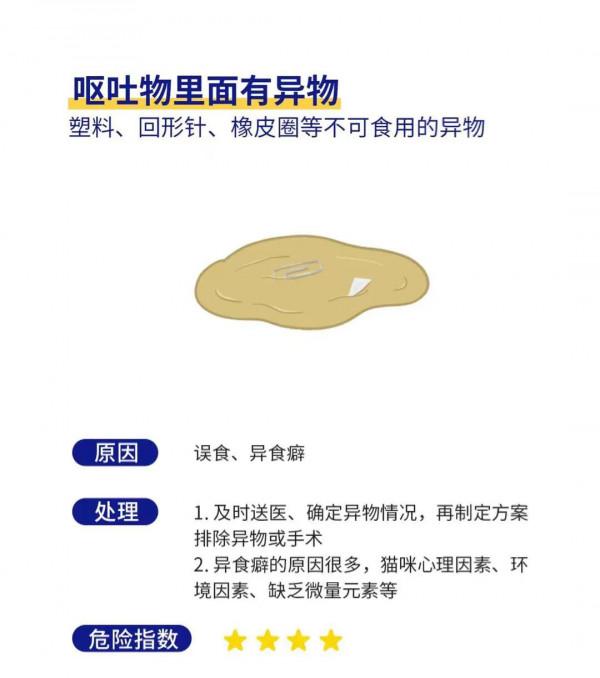 貓咪嘔吐的六種情況