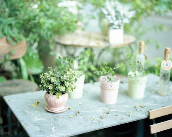 人生最好的狀態：隨心、隨性、隨緣