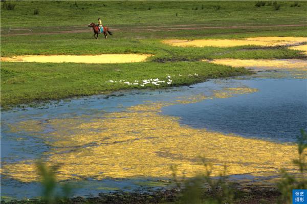 俄羅斯民族鄉，中俄界河可見俄羅斯奧洛契小鎮，夏季最佳避暑勝地