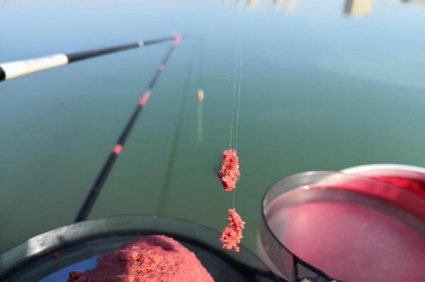 冬季釣魚掌握這5個釣魚技巧，收穫不比旺季差