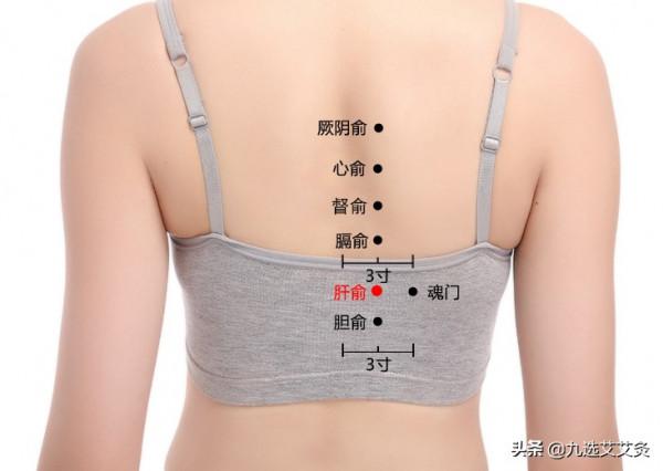 肝俞穴:疏肝洩膽,平肝息風,調肝明目 肝俞穴:疏肝洩膽,平肝息風,調肝明目