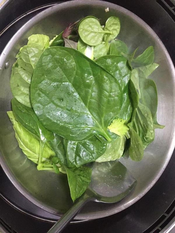 ONELiving 一活生態陽臺可持續收菜收食物記錄 2021.10.31 ONELiving 一活生態陽臺可持續收菜收食物記錄 2021.10.31