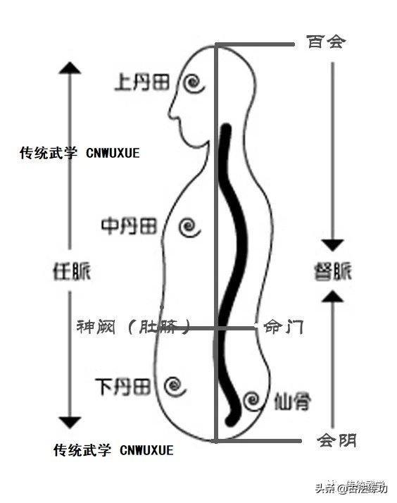 一個武學實修者的練功體會 一個武學實修者的練功體會