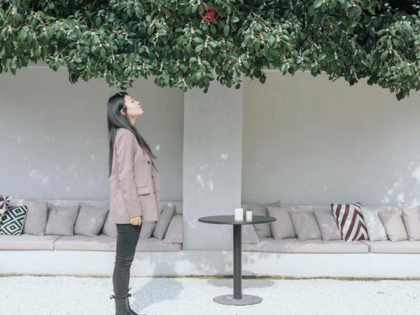 我的天哪,莫干山下的農民房都變成這樣了,城裡人卻喜歡來湊熱鬧 我的天哪,莫干山下的農民房都變成這樣了,城裡人卻喜歡來湊熱鬧