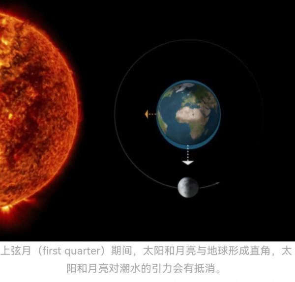 乾貨!如何利用潮汐釣魚? 乾貨!如何利用潮汐釣魚?