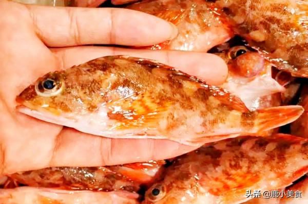 買海魚，懂吃人專挑這6種，都是純野生無法養殖，好吃不貴還營養