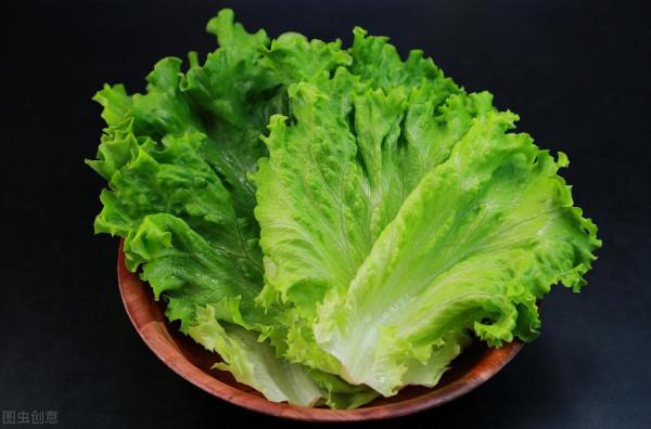 減肥高手——生菜