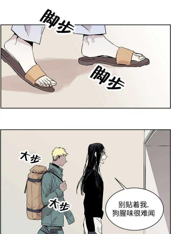 漫畫《巫師與狼》：被詛咒的狼人，他因某種原因失去了一隻手臂