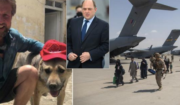 狗狗能有什麼壞心思？為了減少碳排放，英國議員呼籲改養小型犬