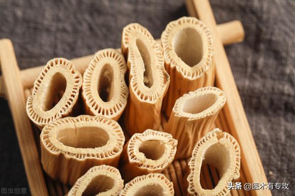 每天認識一味中藥－－蘆根