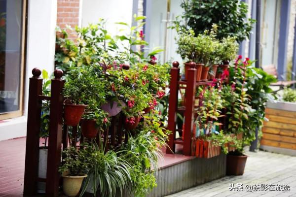 茶影的進藏日誌3 茶影的進藏日誌3