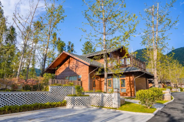 【週末遊】銀杏小鎮，體驗一天慢生活，與手機“斷舍離”