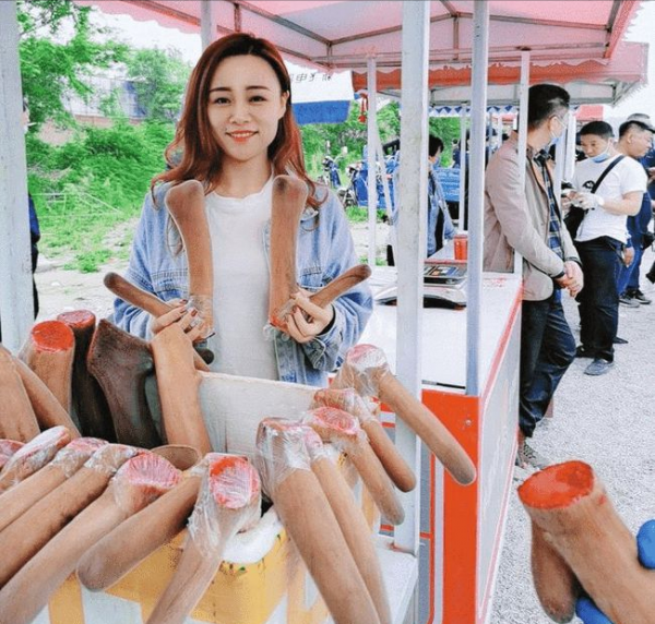 梅花鹿養殖大戶王嬌,人工養殖梅花鹿,年銷售額達到了四千多萬元 梅花鹿養殖大戶王嬌,人工養殖梅花鹿,年銷售額達到了四千多萬元