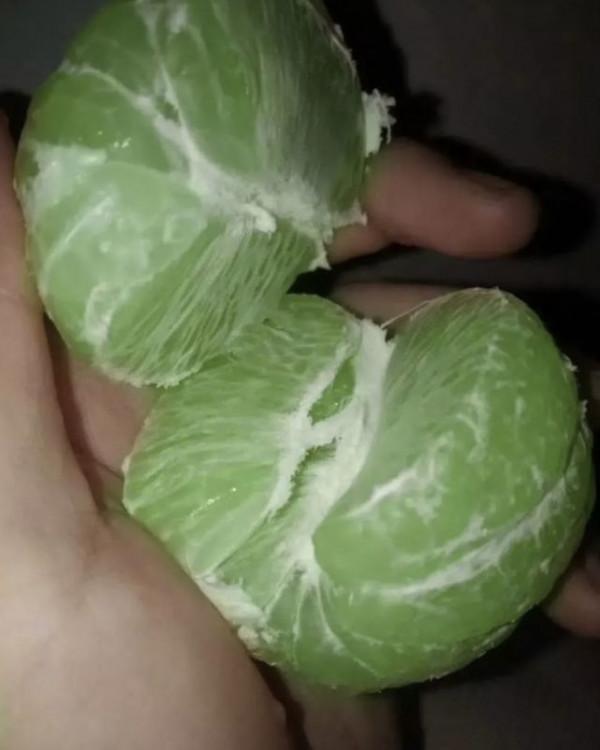 小象偷甘蔗被抓,試圖躲在電線杆後面,好萌 小象偷甘蔗被抓,試圖躲在電線杆後面,好萌