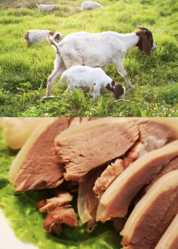 超好買!2021浙江農博會轉戰線上,這些地方金牌美味賣爆了 超好買!2021浙江農博會轉戰線上,這些地方金牌美味賣爆了