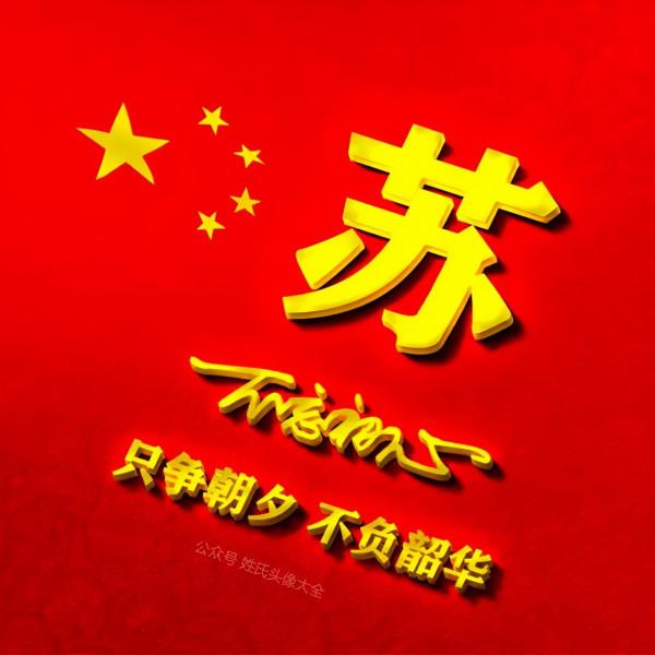 200張正能量姓氏頭像，張張精品，只爭朝夕 不負韶華