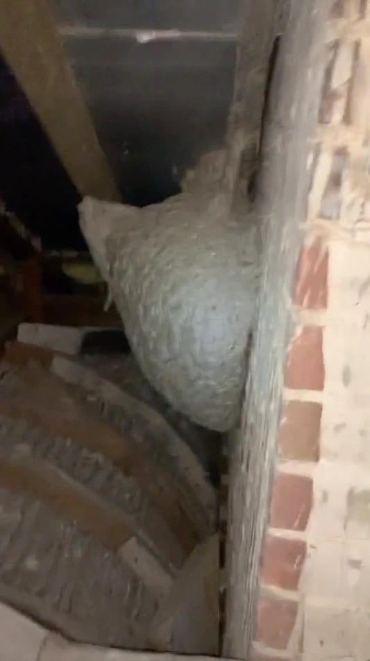 英國男子住在五百年前的舊屋，拆開書架木板，發現後面藏有一房間