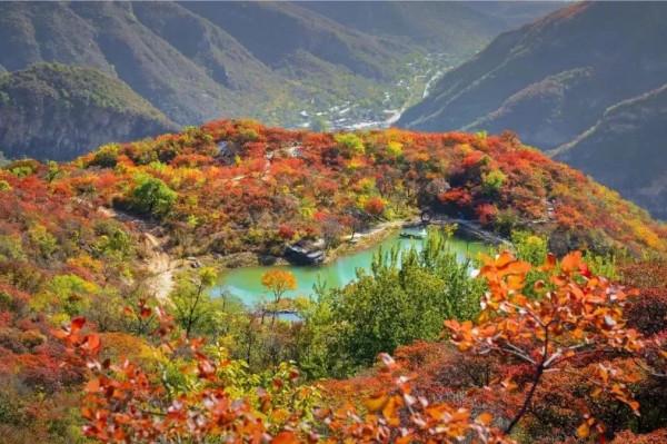 賞漫山彩葉,看雲騰山浮,房山最“紅”賞秋打卡地推薦,比香山更美!(上) 賞漫山彩葉,看雲騰山浮,房山最“紅”賞秋打卡地推薦,比香山更美!(上)