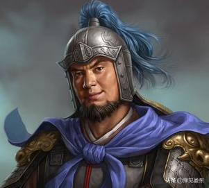 曹魏車騎將軍胡奮的一生