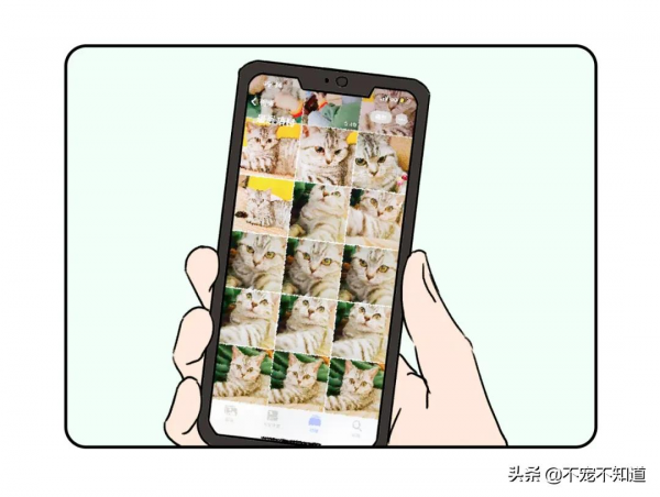 養貓前後對比，你是第幾個？