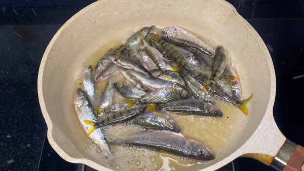 紅燒野生小溪魚，太鮮啦，這種魚在你家鄉叫啥？