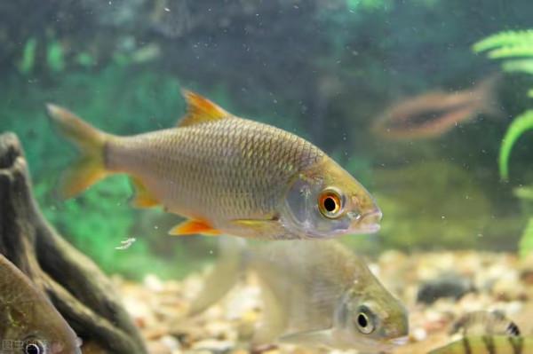 別忙著去&OpenCurlyDoubleQuote;春釣灘&rdquo;，看完這幾點再出發，能取得不一樣的漁獲