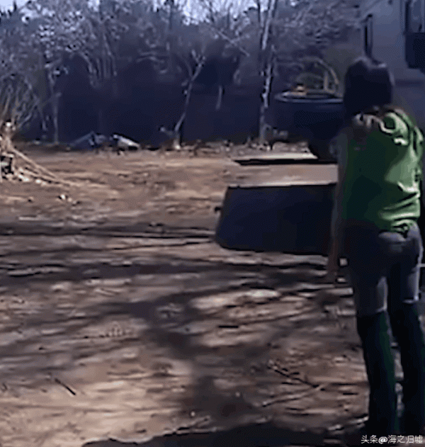 看完這16張圖片，被動物們的感情驚訝到了