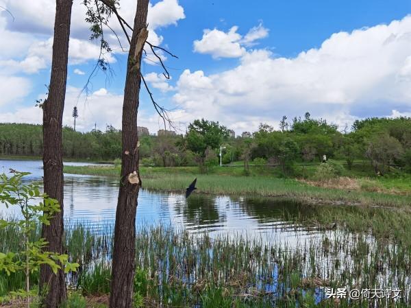 古詩中最經典的十首七律，每一句都是千古名句，值得細品