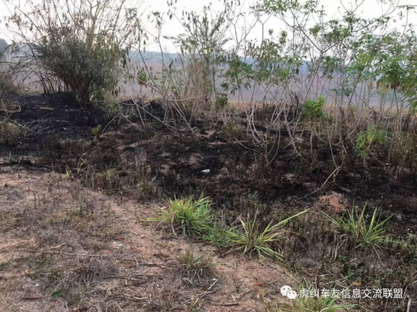 泰產本田彎梁（WAVE125）摩托車駕馭感受