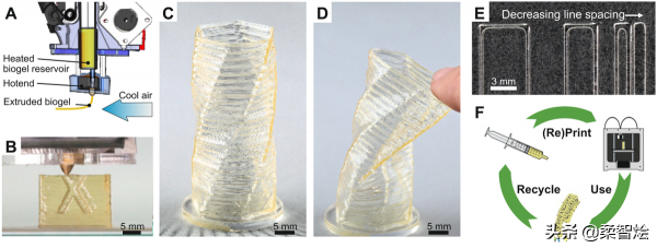 使用明膠和糖作為墨水列印 3D 軟機器人