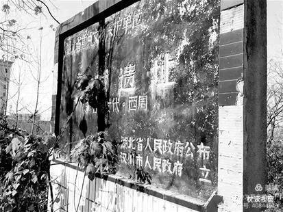 陽臺有一夢 陽臺有一夢