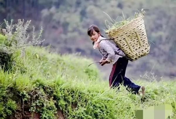 雲南土皇后楊鳳霞 雲南土皇后楊鳳霞