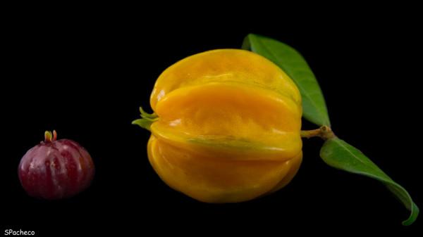 果星來客：楊桃的三大健康益處
