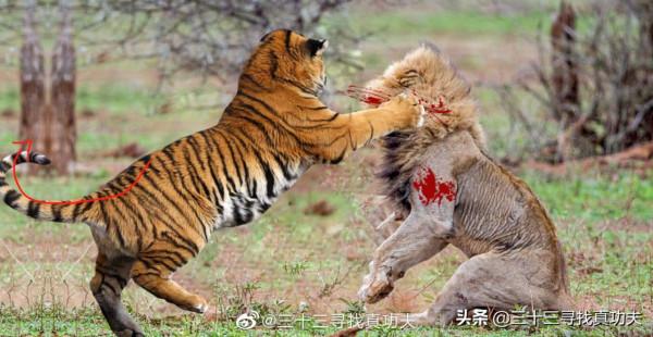 「武術」傳統武術的翻胯到底是怎麼做? 「武術」傳統武術的翻胯到底是怎麼做?