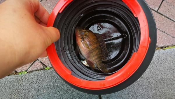 「十週年」“高薪”南下沒魚釣,我該留下來嗎? 「十週年」“高薪”南下沒魚釣,我該留下來嗎?