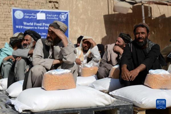 阿富汗:領取糧食 阿富汗:領取糧食