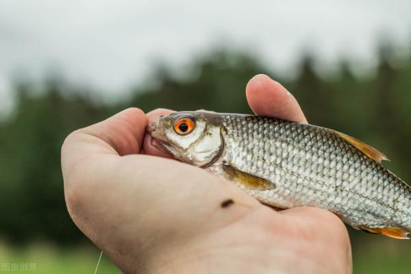 釣魚經歷：遇到&OpenCurlyDoubleQuote;倔&rdquo;老頭，被整得哭笑不得；不過，結局有點意外