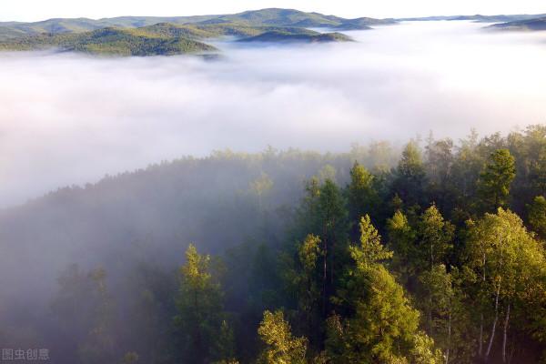沙俄對中國東北資源的掠奪，到底有多瘋狂？有多少木材流失？